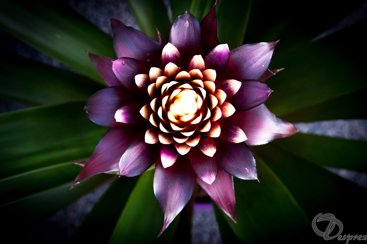 2021-nov.-18-DSC09626