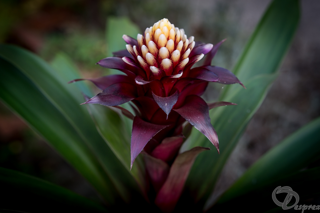 2021-nov.-18-DSC09632