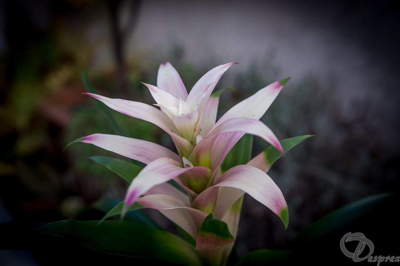 2021-nov.-18-DSC09633