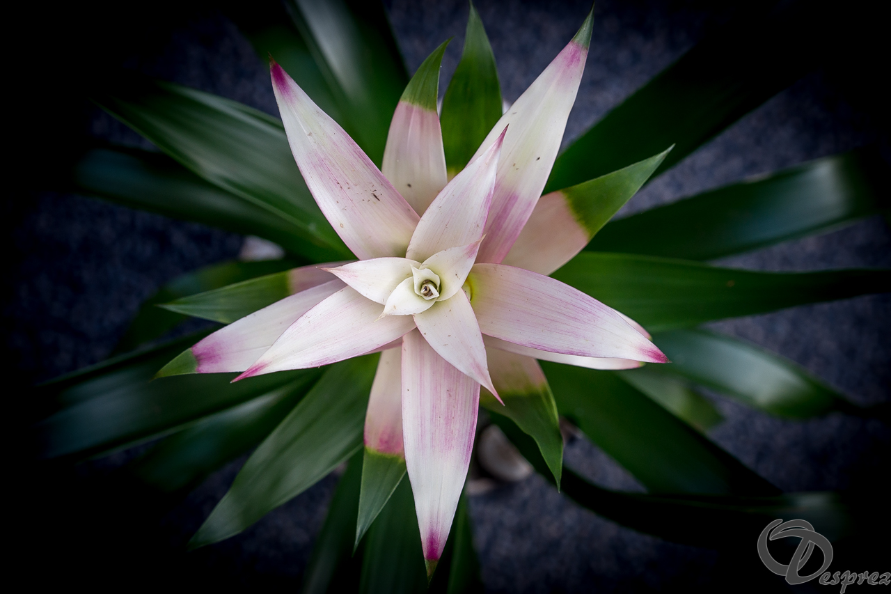 2021-nov.-18-DSC09636