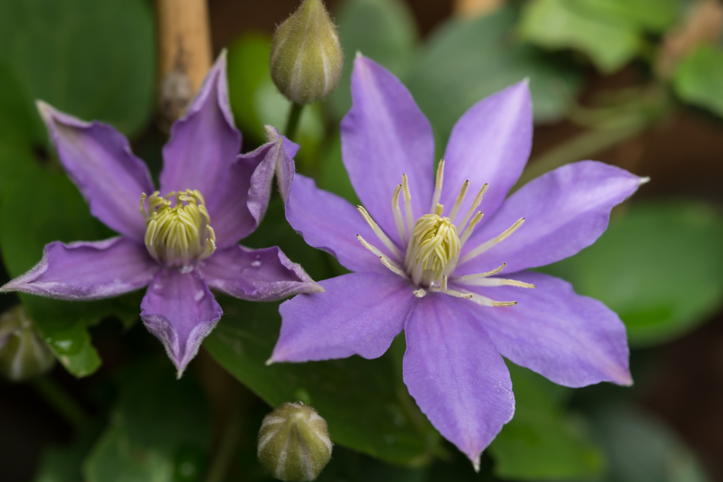 2014-02-24-DSC-00320