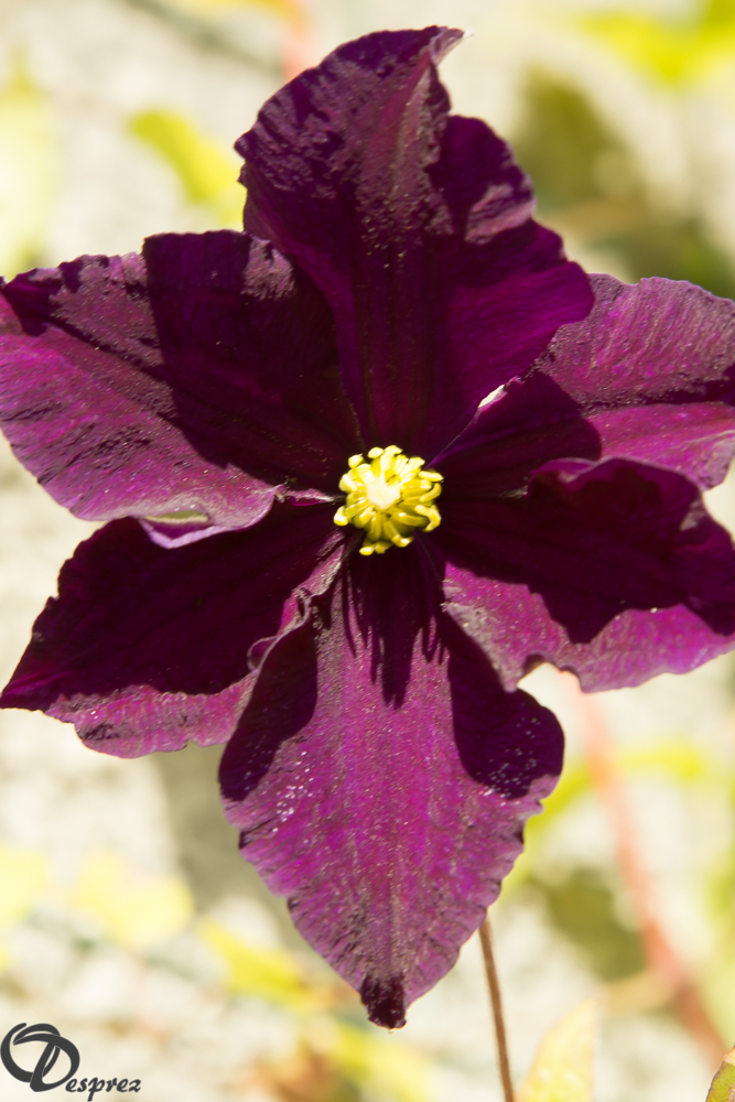2019-06-17-DSC07968