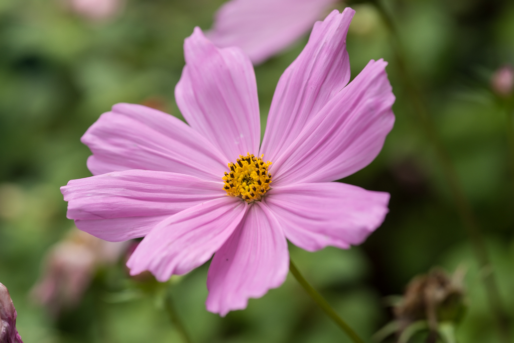 2014-02-24-DSC-00318