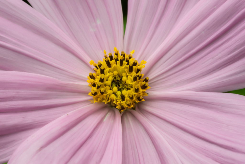 2014-02-24-DSC-00324