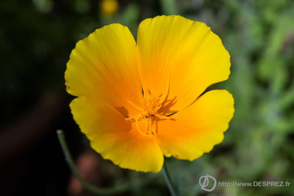 2014-02-24-DSC-01507