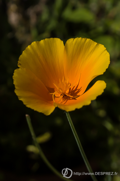 2014-02-24-DSC-01516