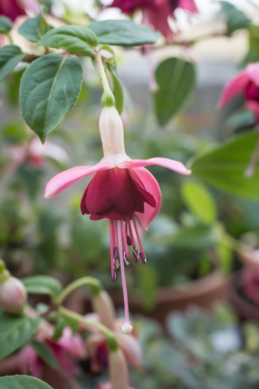 2014-02-24-DSC-00307