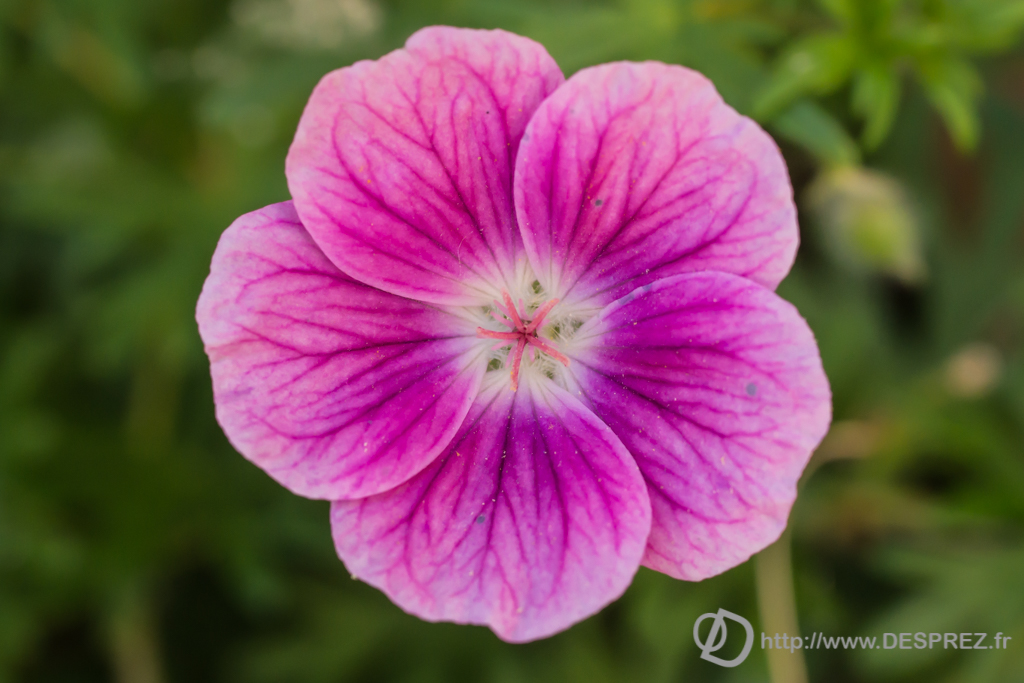 2014-02-24-DSC-01517