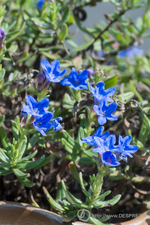 2014-02-24-DSC-04543