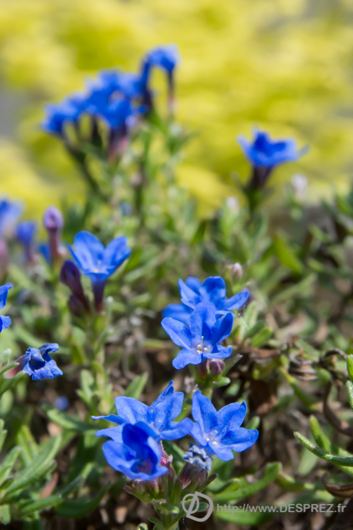 2014-02-24-DSC-04573