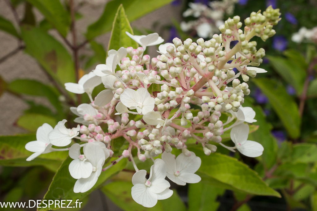 2014-02-24-DSC-00272