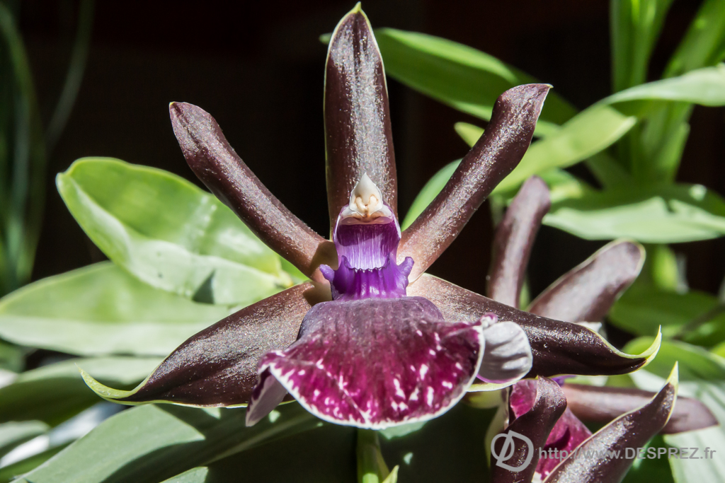 2014-02-24-DSC-04535