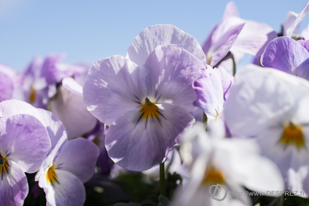 2014-02-24-DSC-01350