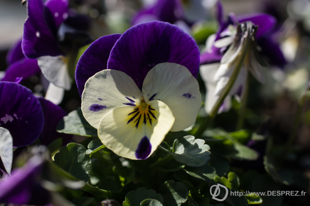 2014-02-24-DSC-01351