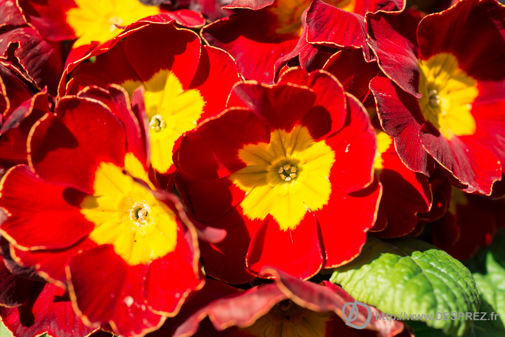 2014-02-24-DSC-01346