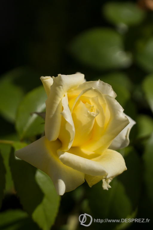 2014-02-24-DSC-01874