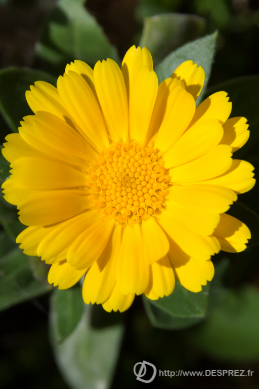 2014-02-24-DSC-04345