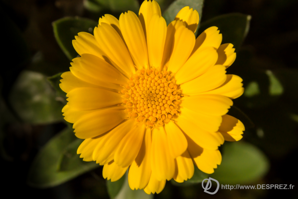 2014-02-24-DSC-04346