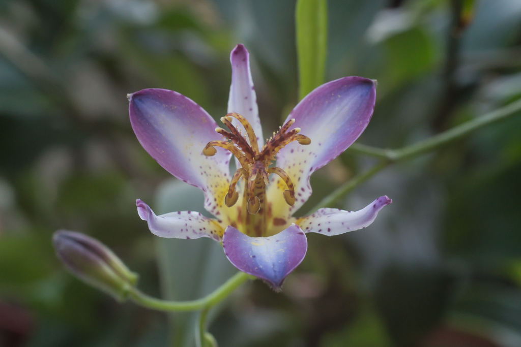 2014-02-24-DSC-00305