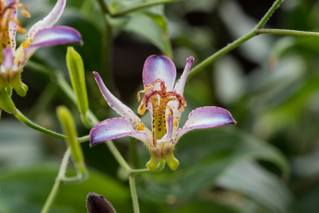 2014-02-24-DSC-00327