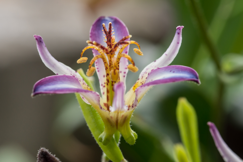 2014-02-24-DSC-00329