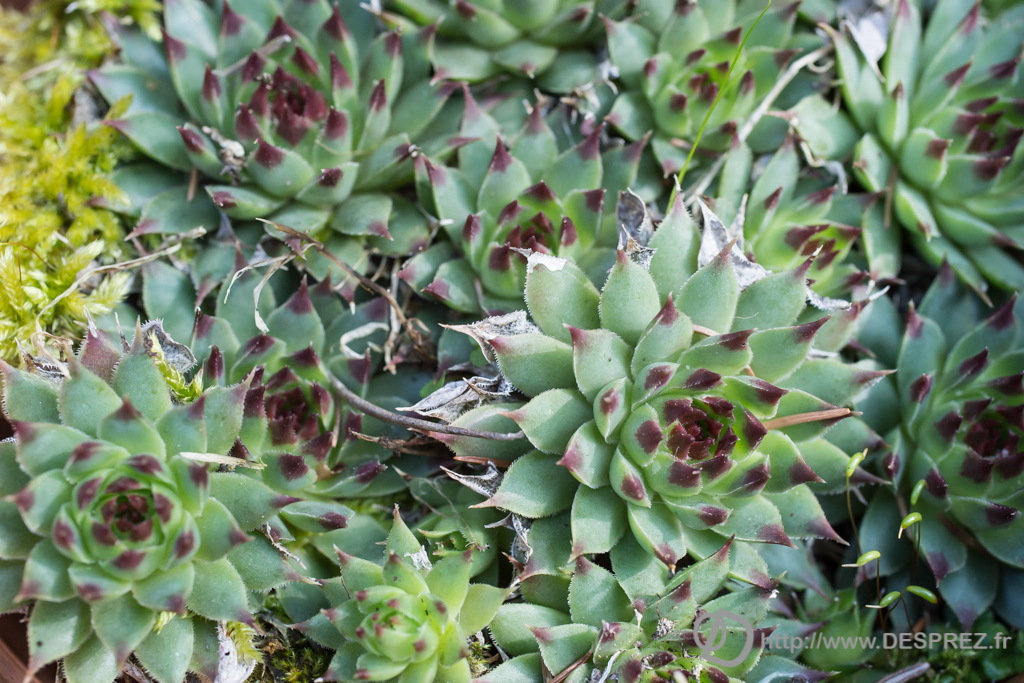 2014-02-24-DSC-01380