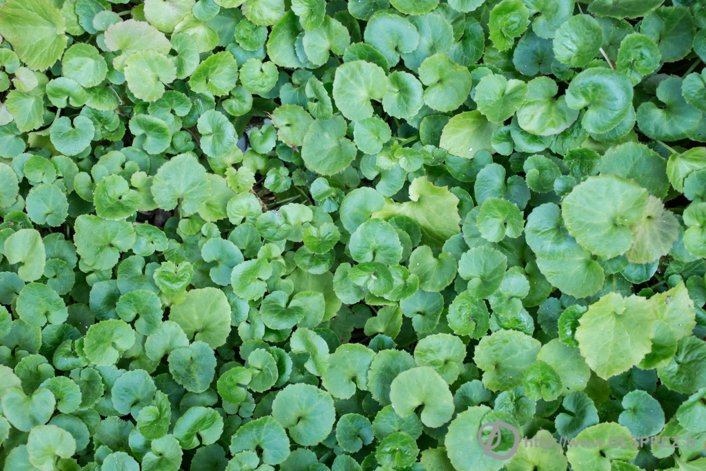 2014-02-24-DSC-01382