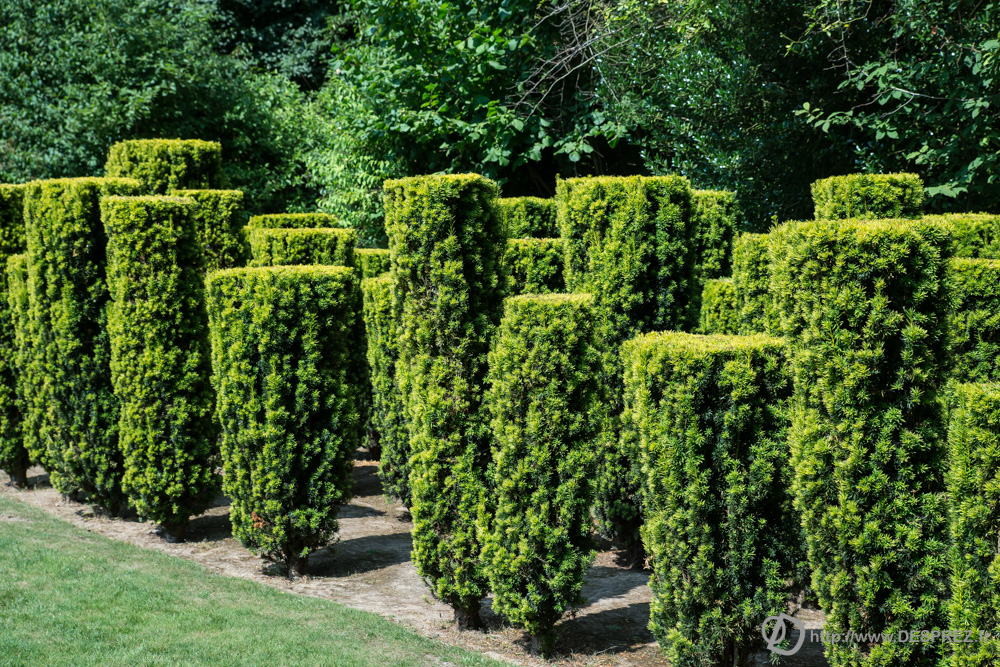 2018-juillet-22-DSC06488