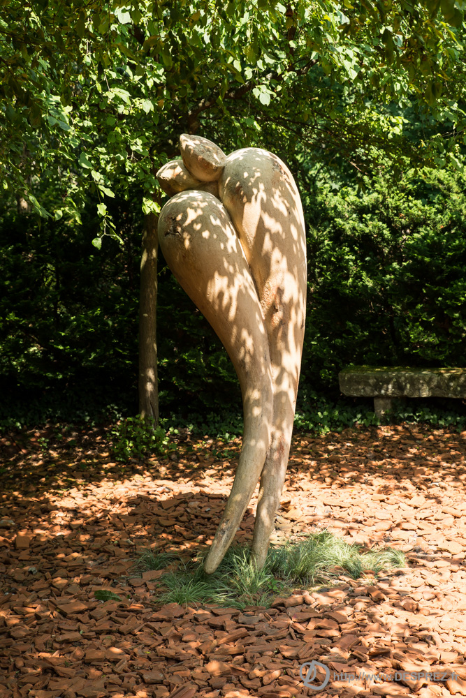 2018-juillet-22-DSC06490