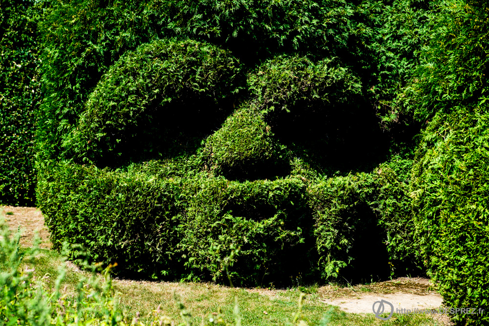 2018-juillet-22-DSC06495