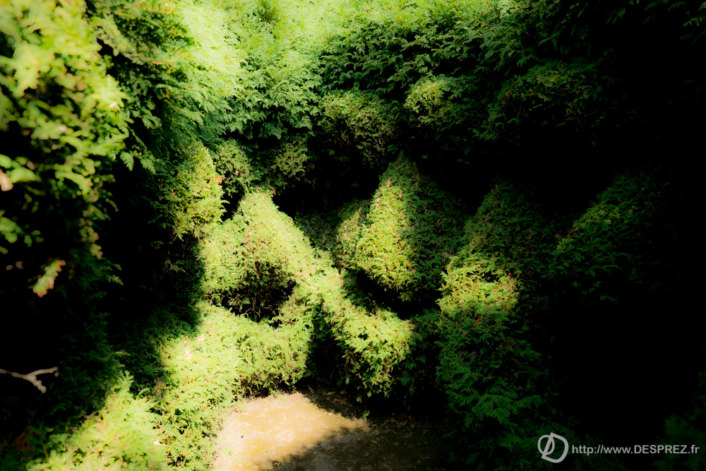 2018-juillet-22-DSC06496