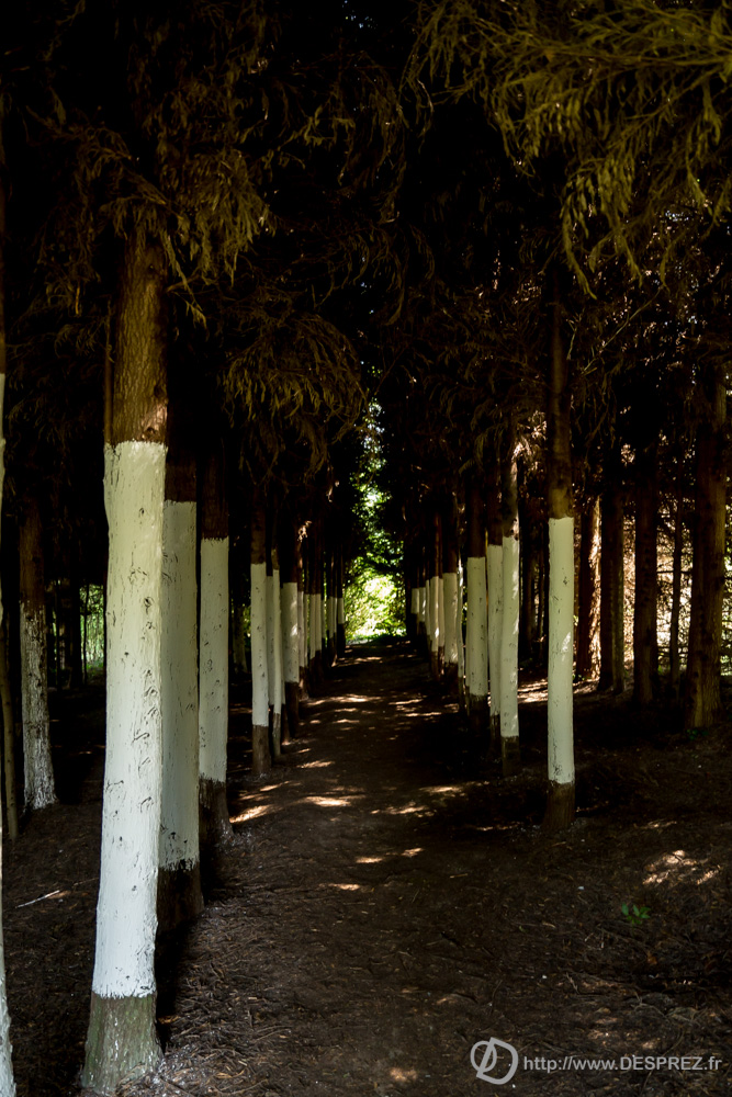 2018-juillet-22-DSC06503