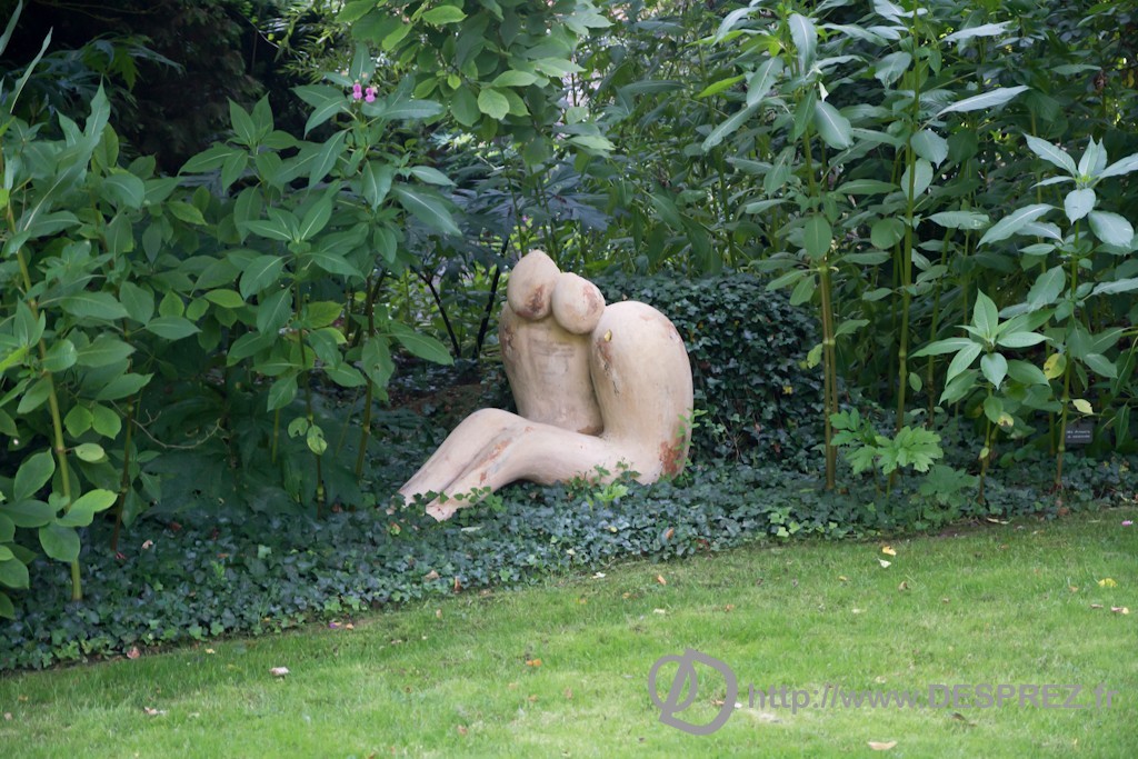 DSC00800