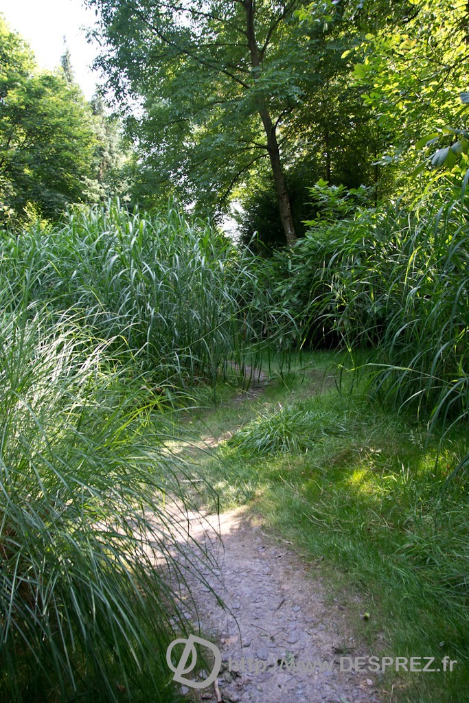 DSC00805