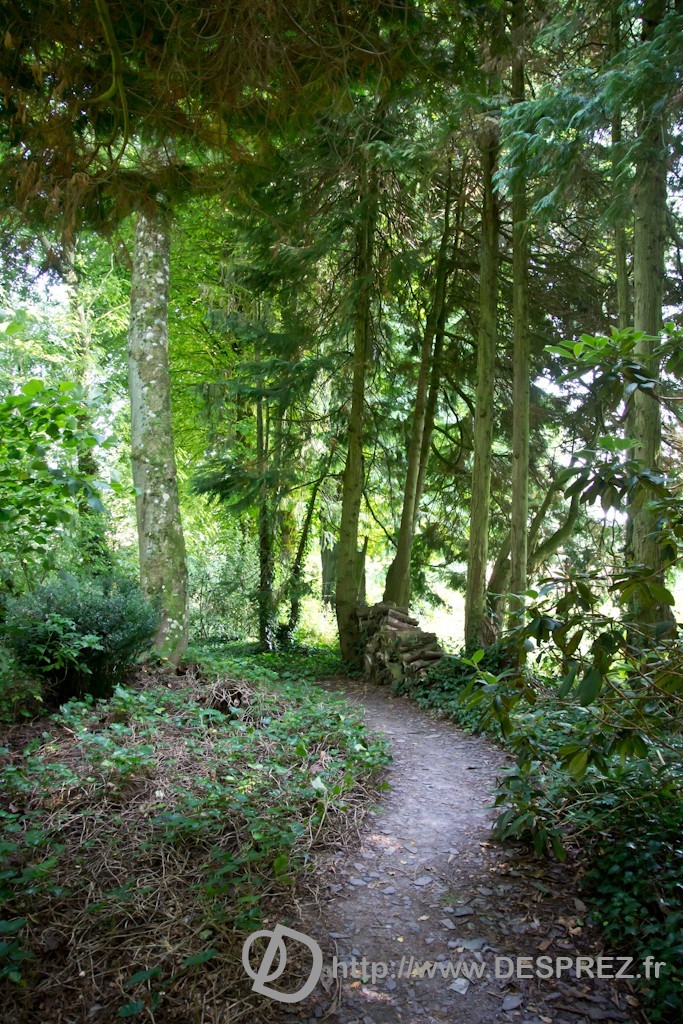 DSC00809