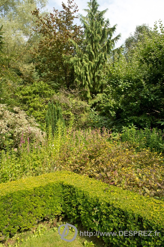 DSC00858