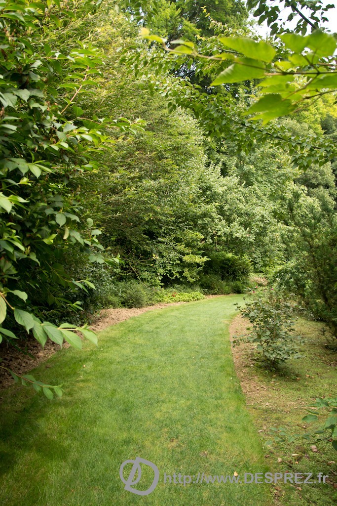 DSC00878