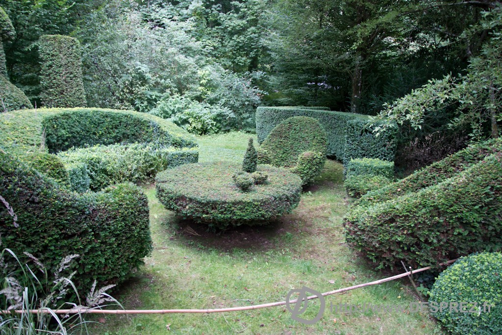 DSC00886