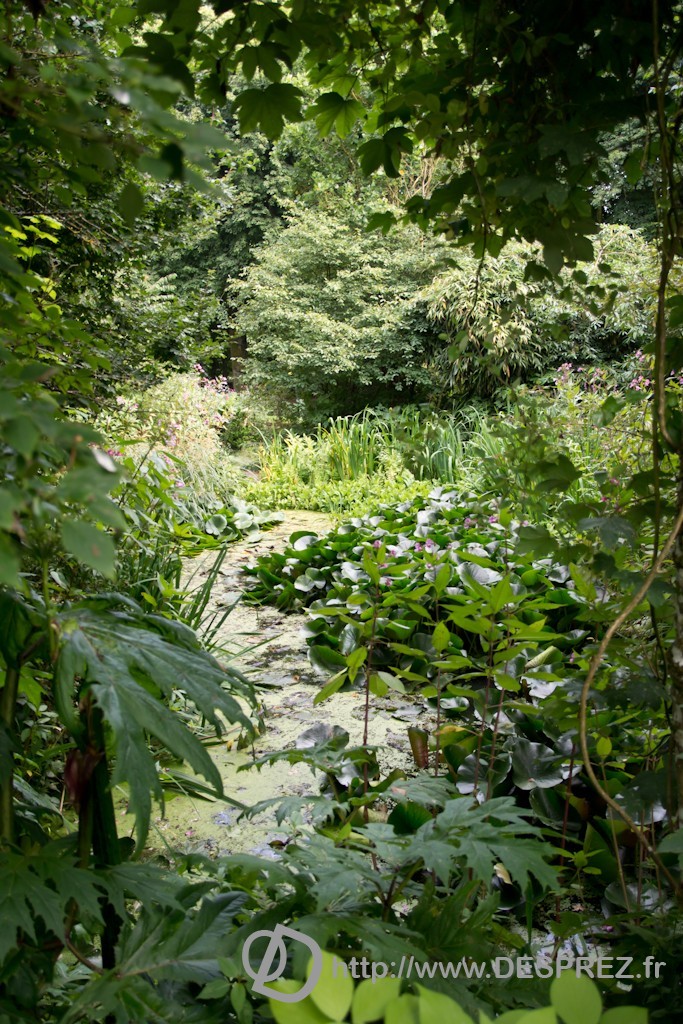 DSC00888