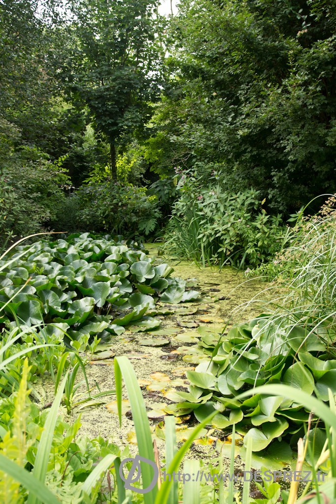 DSC00895