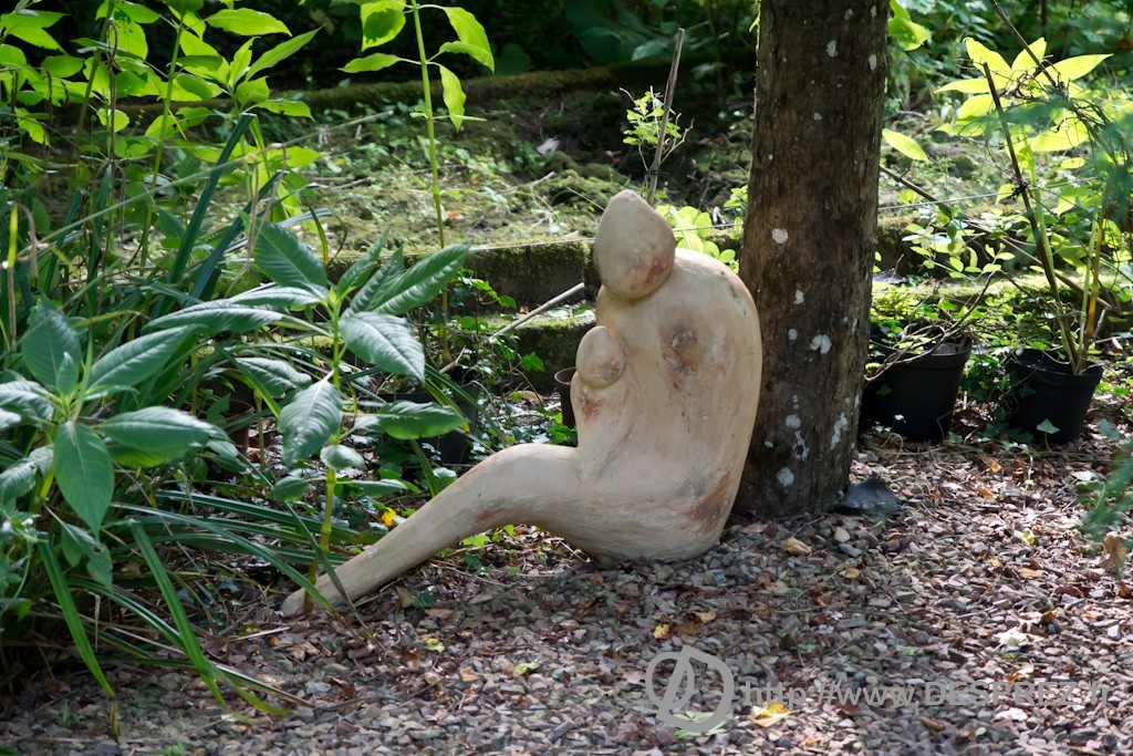 DSC00899