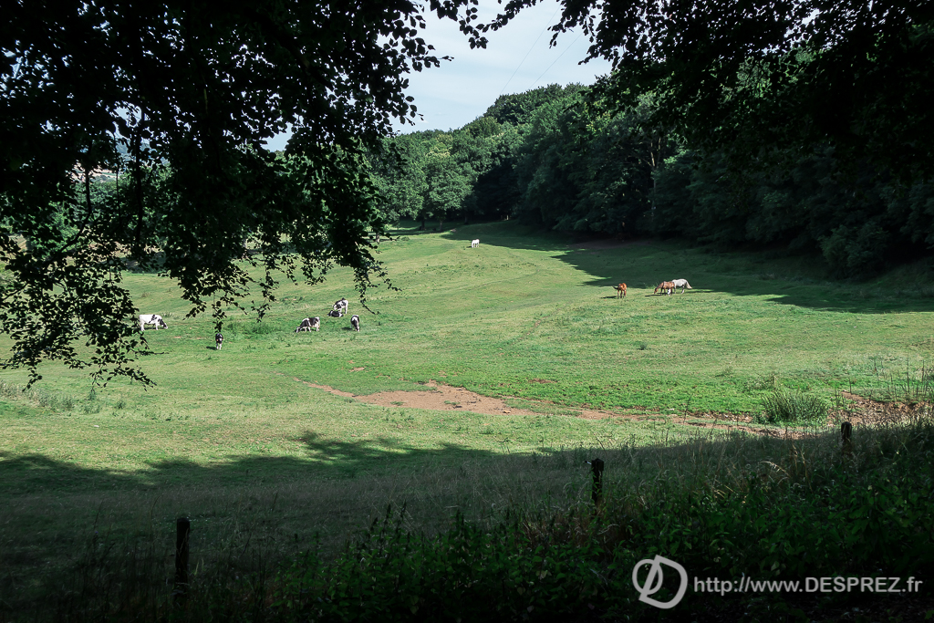 2015-07-18-DSC-00109