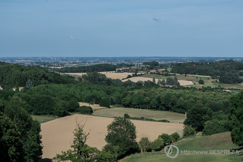 2015-07-18-DSC-00116