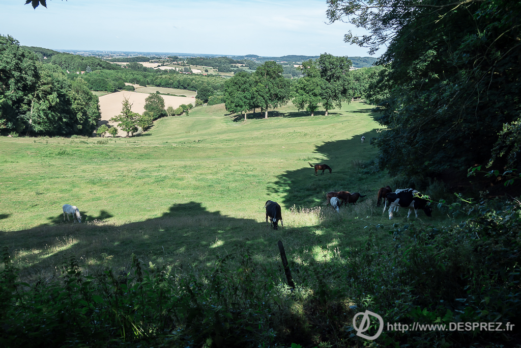 2015-07-18-DSC-00117