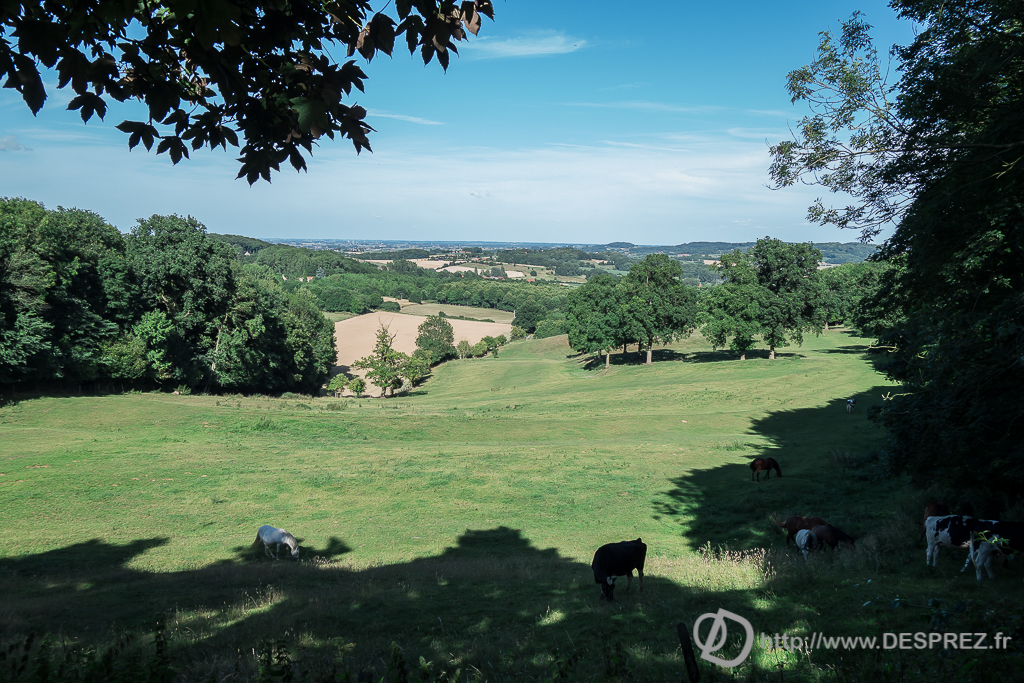 2015-07-18-DSC-00118