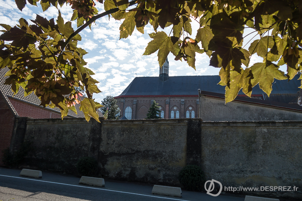 2015-07-18-DSC-00120