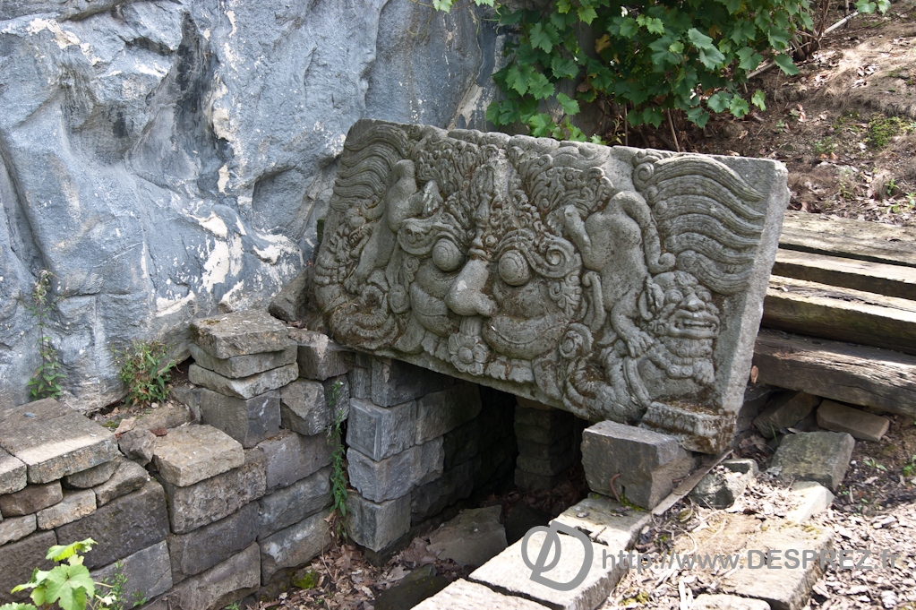 DSC08249