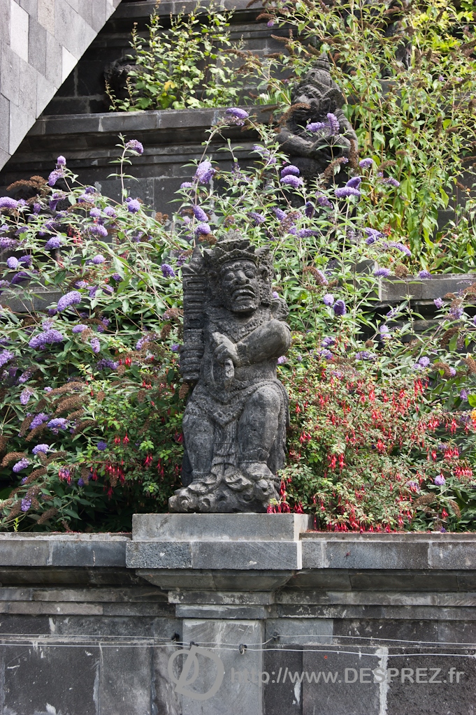 DSC08267
