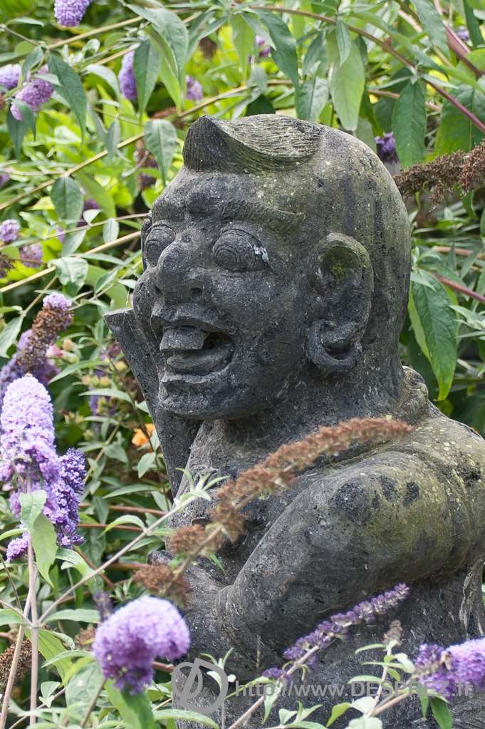DSC08283