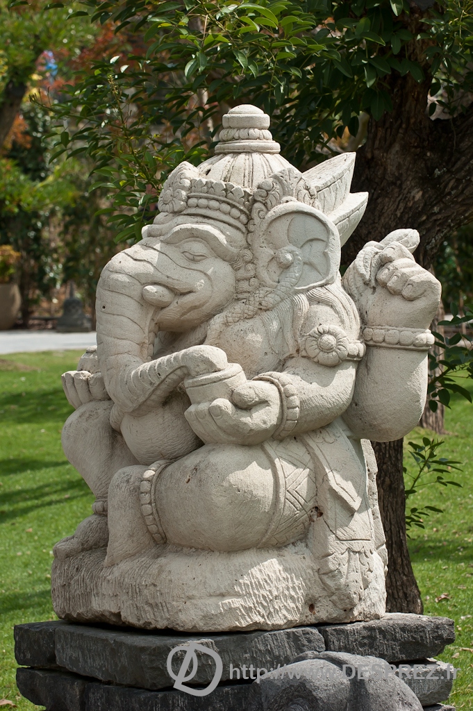 DSC08301